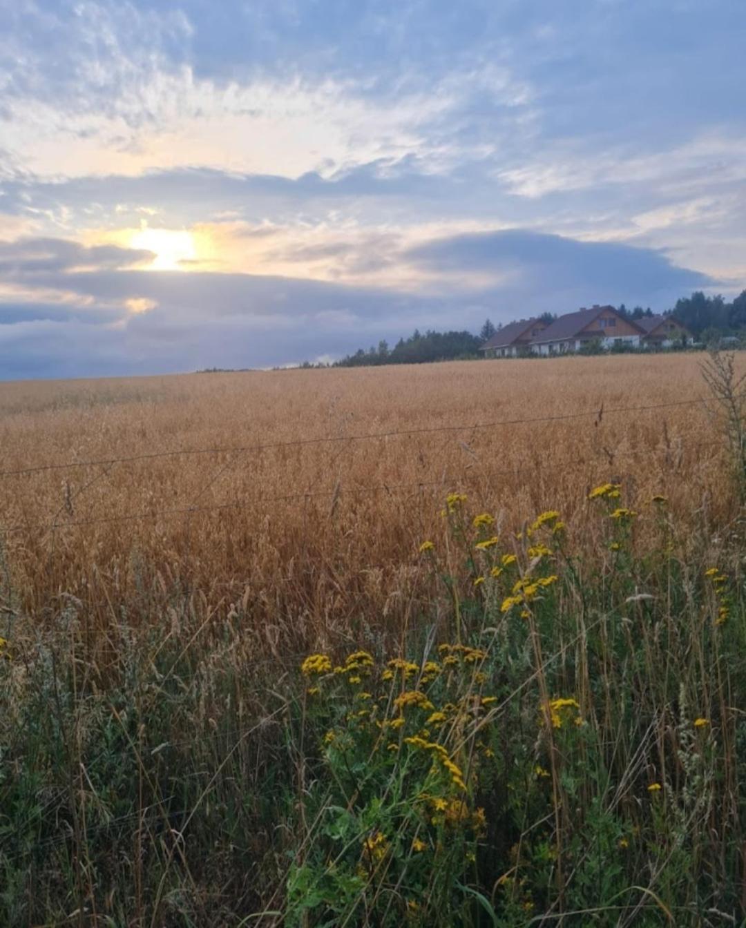 Zielony-Bursztyn Objazda-Kolonia Exterior foto